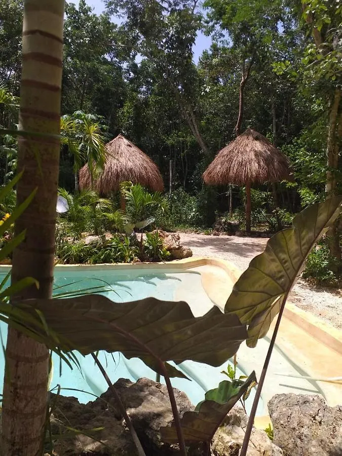 Villa Madre Tierra Eco Habitat Leona Vicario Chalet