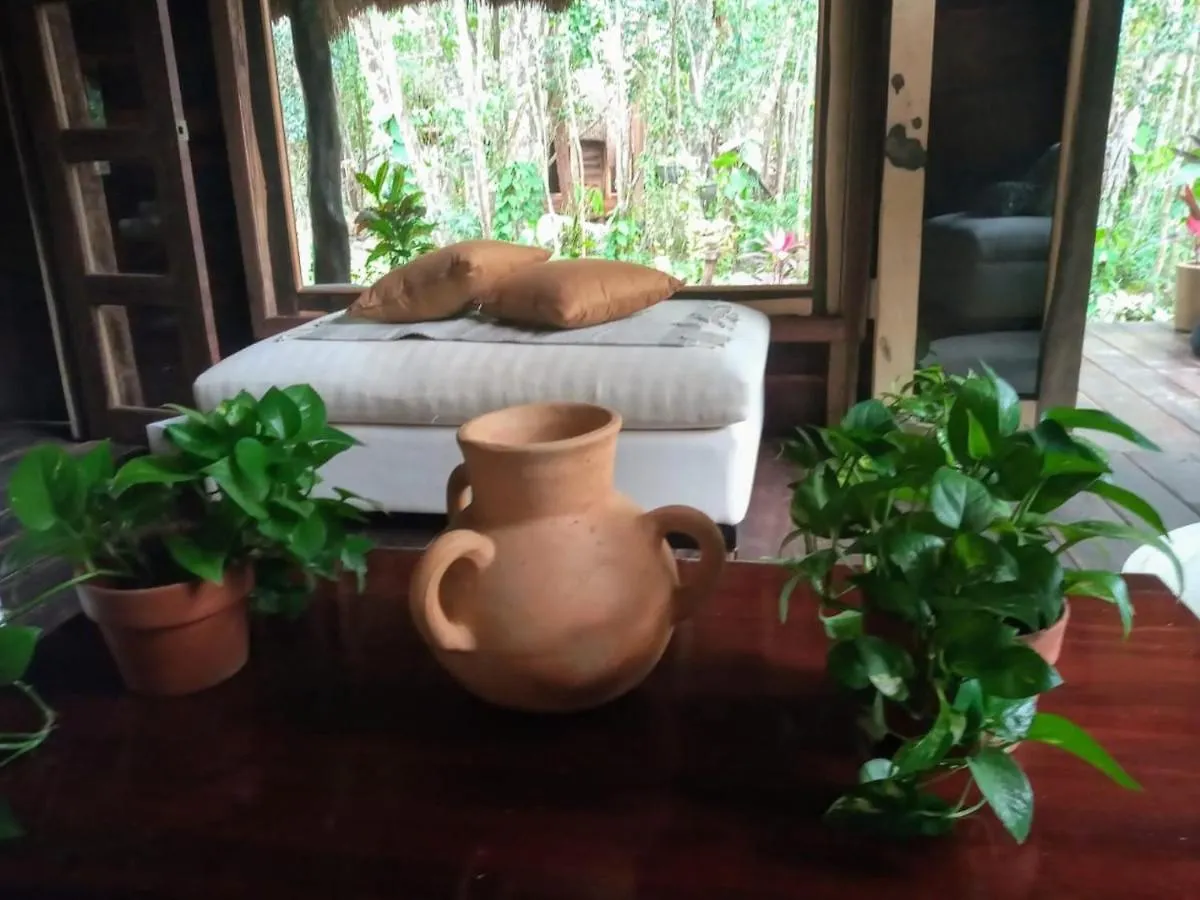 Villa Madre Tierra Eco Habitat Leona Vicario Mexiko