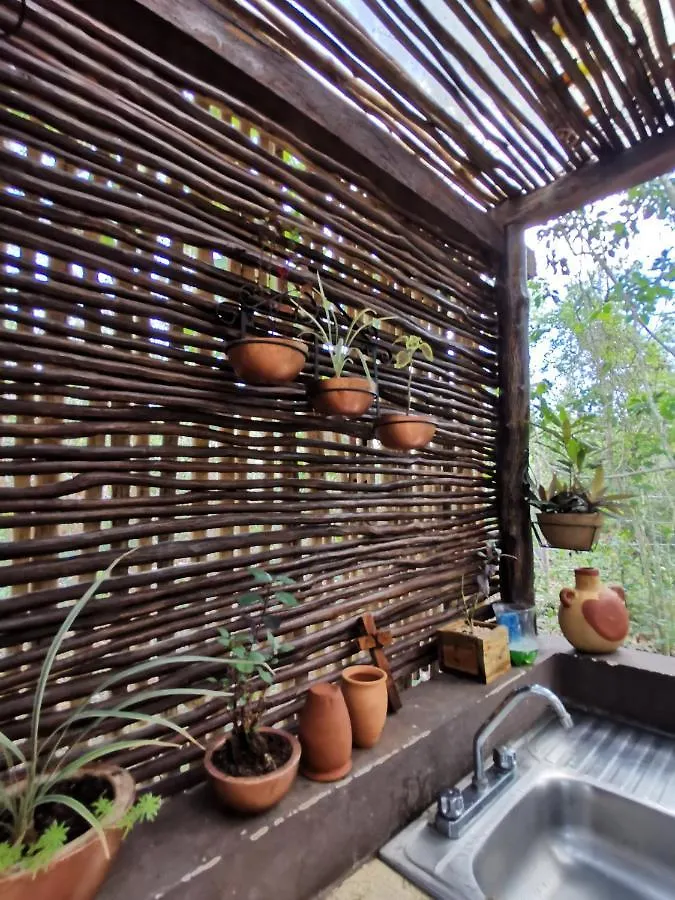 Villa Madre Tierra Eco Habitat Leona Vicario