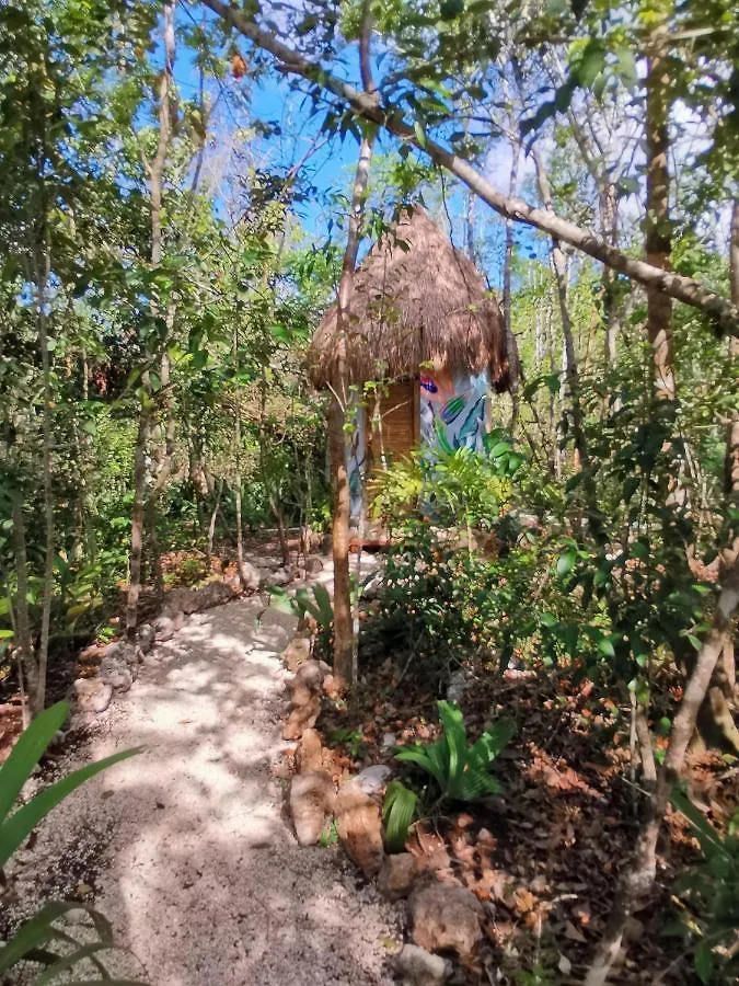 Villa Madre Tierra Eco Habitat Leona Vicario Chalet