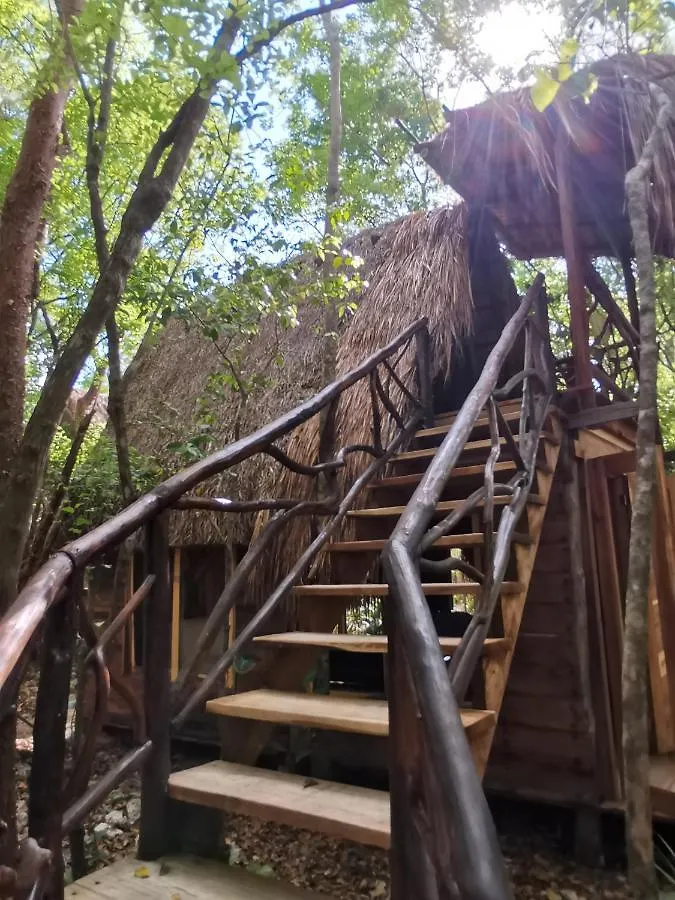 Villa Madre Tierra Eco Habitat Leona Vicario