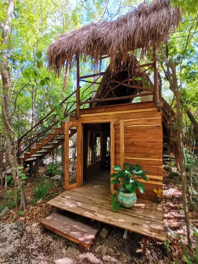 Chalet Villa Madre Tierra Eco Habitat Leona Vicario