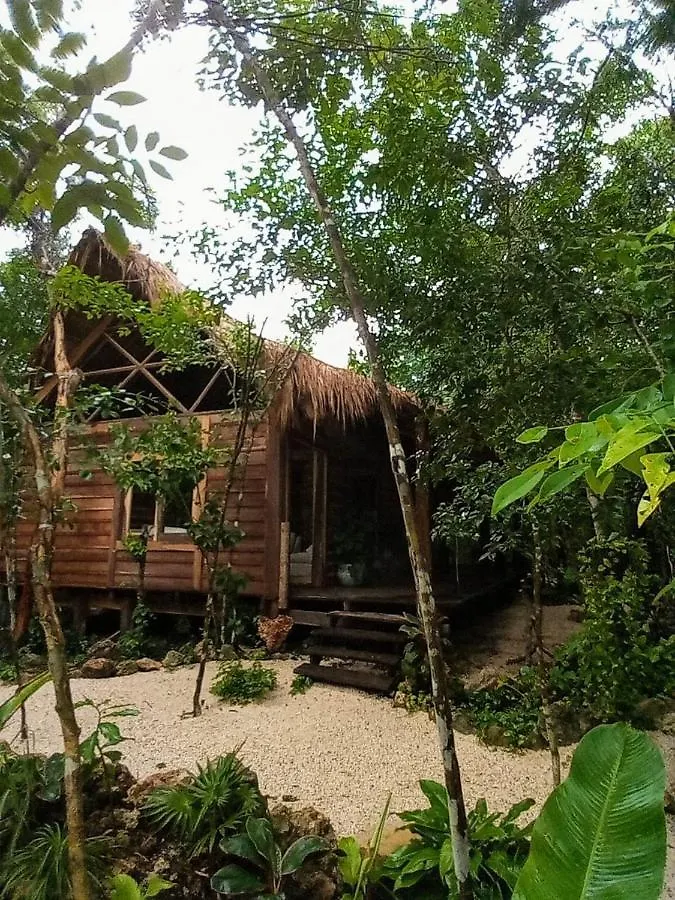 Chalet Madre Tierra Eco Habitat Villa Leona Vicario