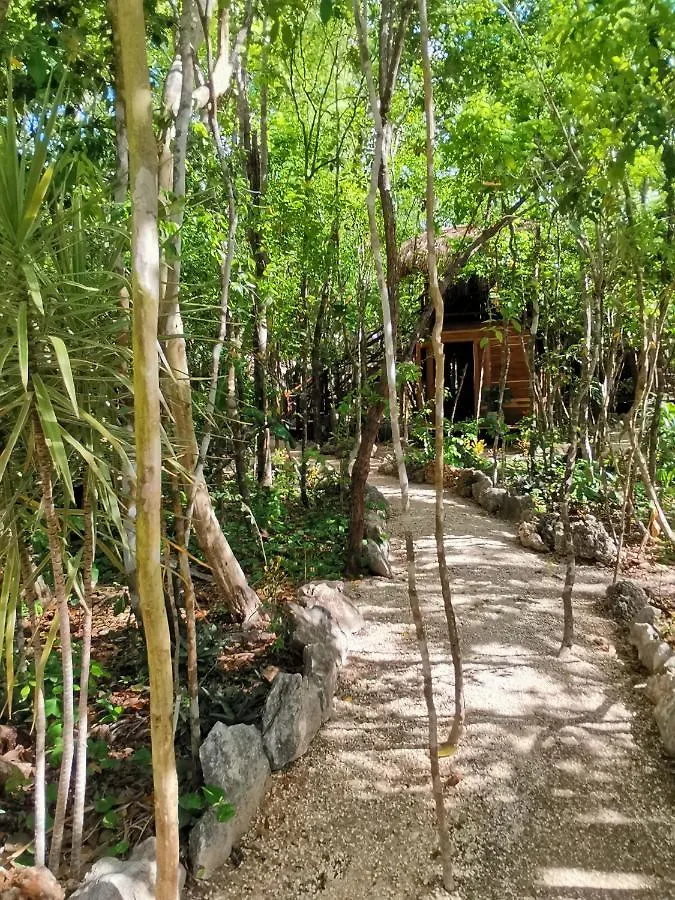 Madre Tierra Eco Habitat Villa Leona Vicario 0*,