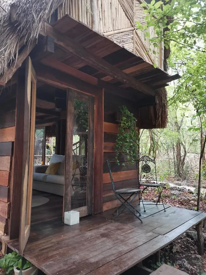 Madre Tierra Eco Habitat Villa Leona Vicario Chalet